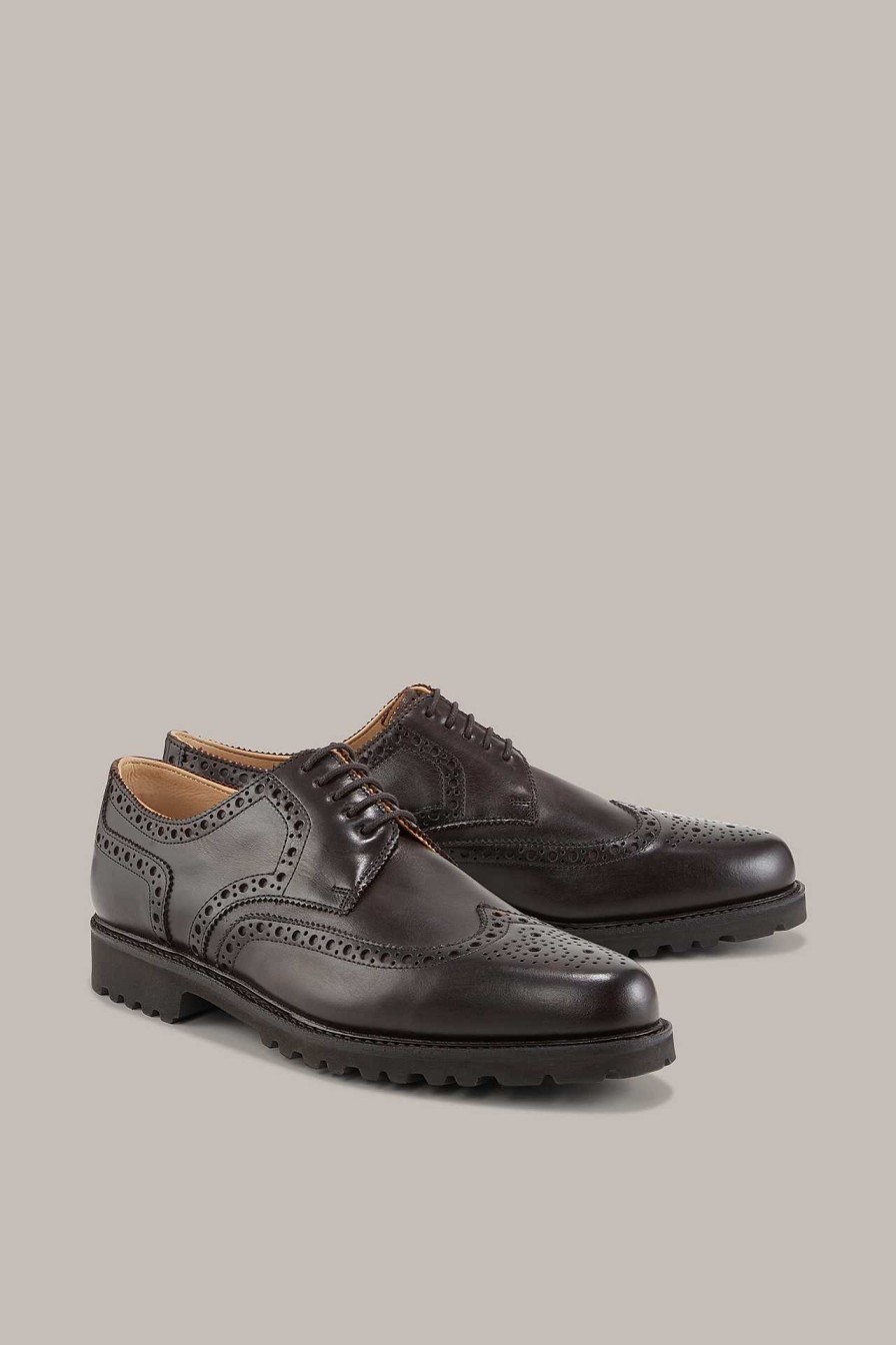 Windsor Budapester By Ludwig Reiter In Dunkelbraun Schuhe